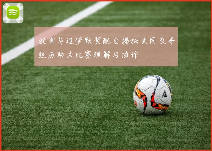 波津与追梦默契配合揭秘共同交手经历助力比赛理解与协作